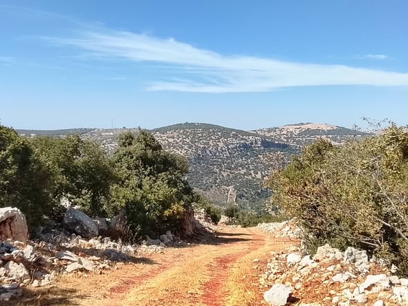 فرصة استثمارية: قطعتان متجاورتان بإطلالة ساحرة في عرجان - 5