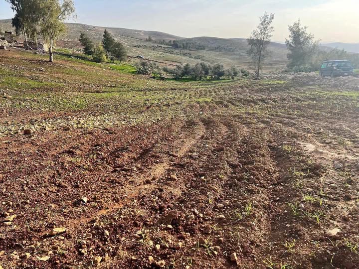 أرض مستوية في عين والمعمرية بسعر مغري