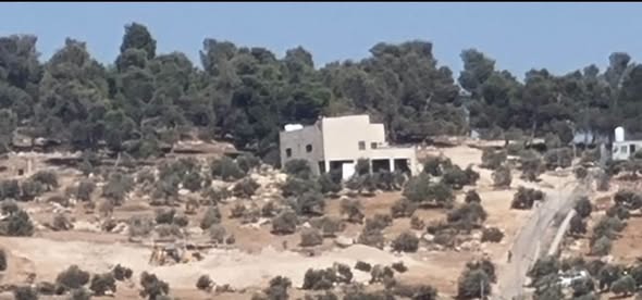 مزرعة زيتون 4 دونمات صافي مع بيت في جرش
