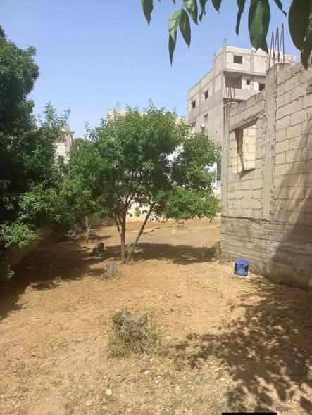 أرض استثمارية مميزة في خريبة السوق بمساحة 540 م² - 3