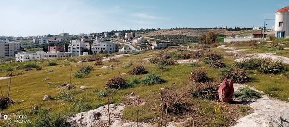 فرصة استثمارية: أرض للبيع في شفا بدران - 2