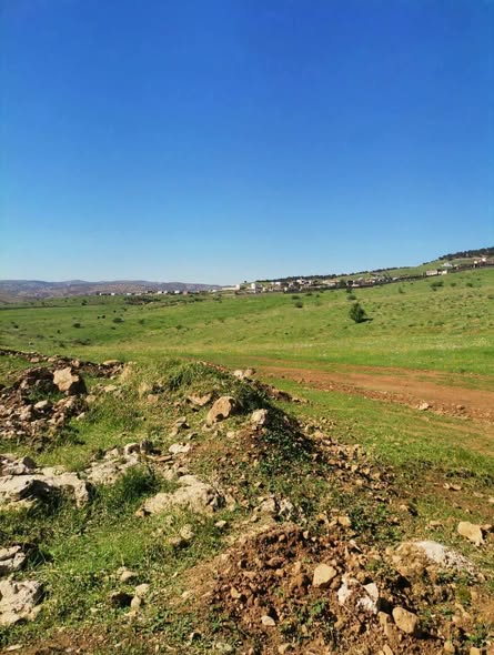 أرض استثمارية مميزة في عنيبة - جرش