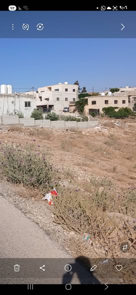 أرض للبيع في الزنية - كوشان مستقل - 2