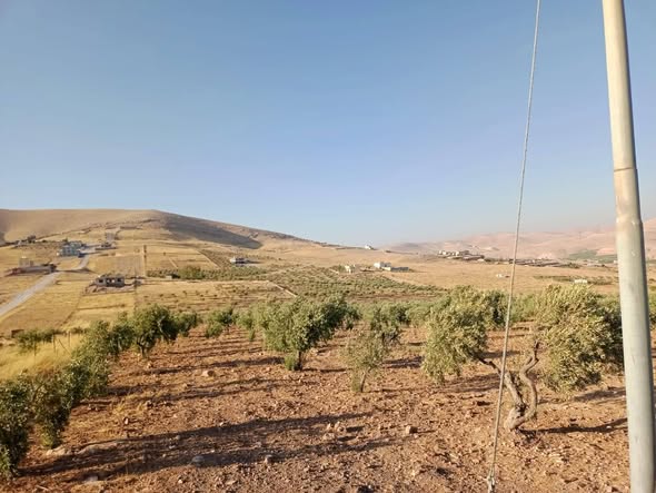 أرض زراعية للبيع في بيرين صروت - 4.5 دلم مع خدمات - 2