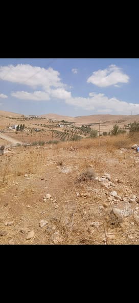 أرض للبيع في بلعما - مساحة كبيرة بسعر مغري