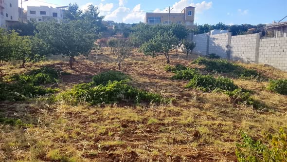أرض سكنية فاخرة للبيع في جرش - زقريط
