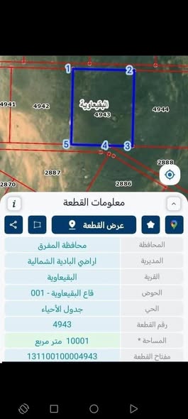 أرض بادية للبيع في البقيعاوية - فرصة استثمارية نادرة - 2