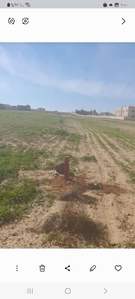6 قطع أراضي مفروزة في الغدير الغربي - فرصة استثمارية - 3