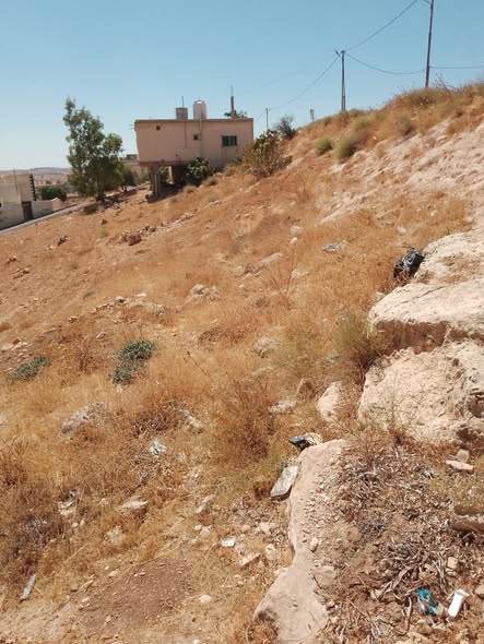 فرصة استثمارية: أرض مميزة في بلعما - 4