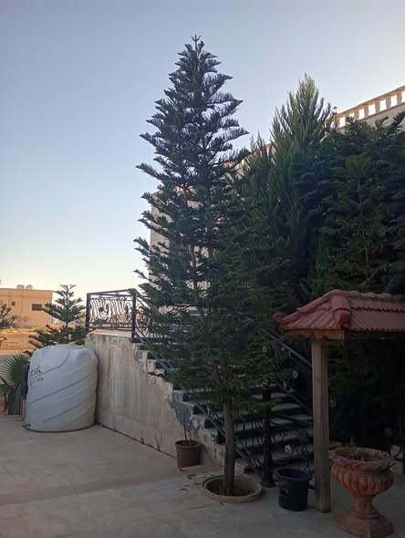 بيت مستقل فاخر للبيع في الذهيبة الغربية