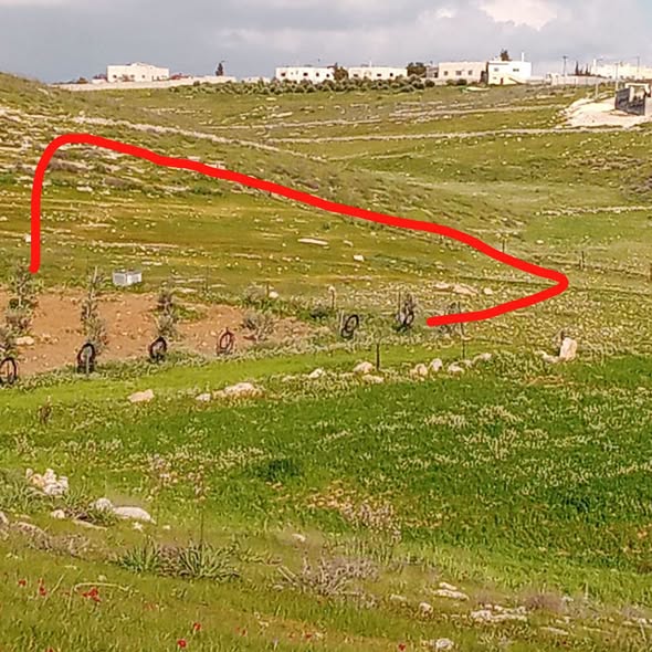 أرض زراعية فاخرة للبيع في بلعما - 2