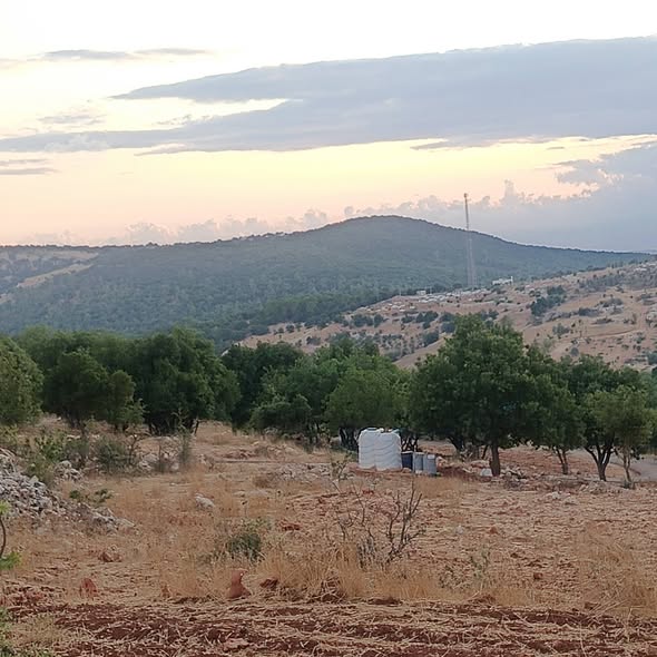 أرض سكنية للبيع في عين جنة بإطلالة ساحرة على قلعة عجلون