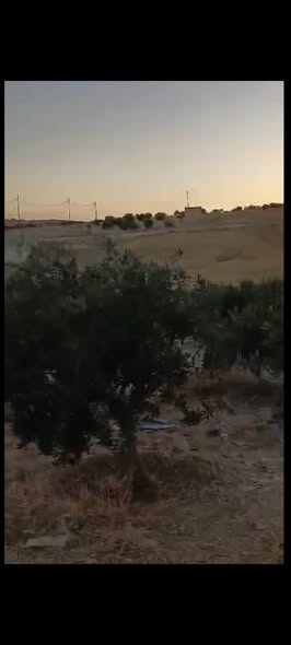 مزرعة استثمارية للبيع في مادبا مع بيت ريفي - 4