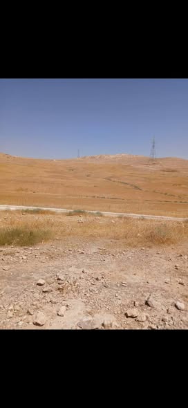 أرض زراعية للبيع في بلعما بمساحة 3.5 دونم - 4