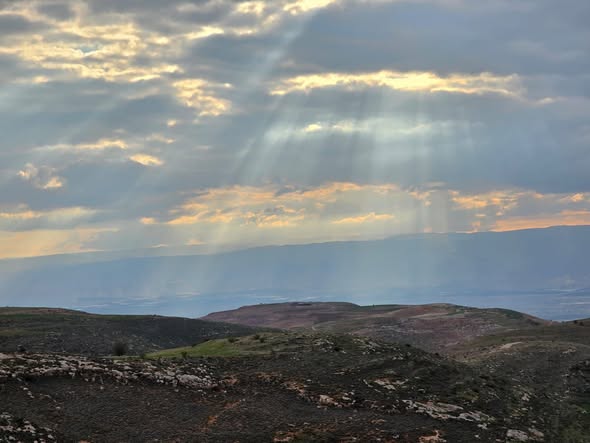 أرض مطلة للبيع في السلط - خربة كفرهودا بسعر مغري - 4