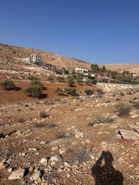 أرض زراعية فاخرة في دحل حميد للبيع - 2