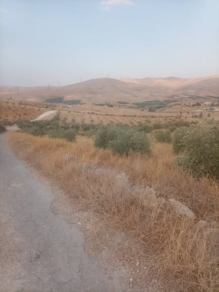 قطعة أرض للبيع في بيرين صروت - 4