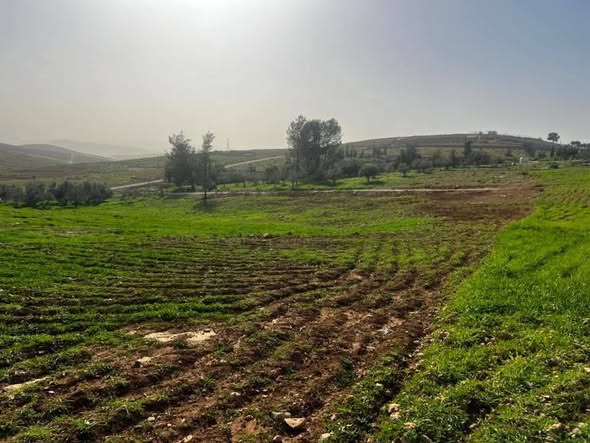 أرض مميزة في المراجم غرب بلعما - فرصة استثمارية - 2