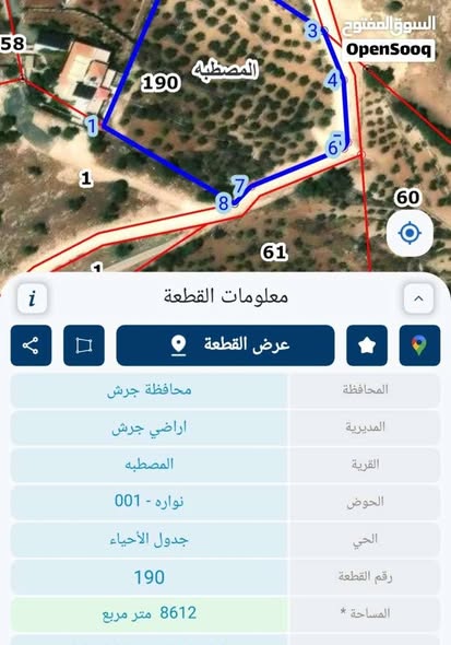 أرض زراعية مميزة للبيع في جرش - المصطبة - 3