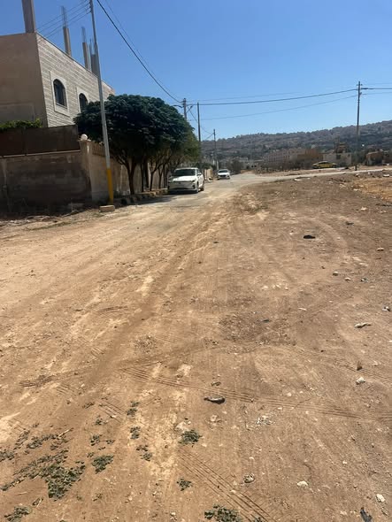 قطعة أرض على شارعين بسعر لقطة في أبو نصير – فرصة استثمارية - 2