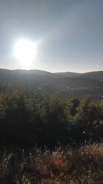 فرصة استثمارية: أراضي زراعية متميزة في عبين - عجلون - 3