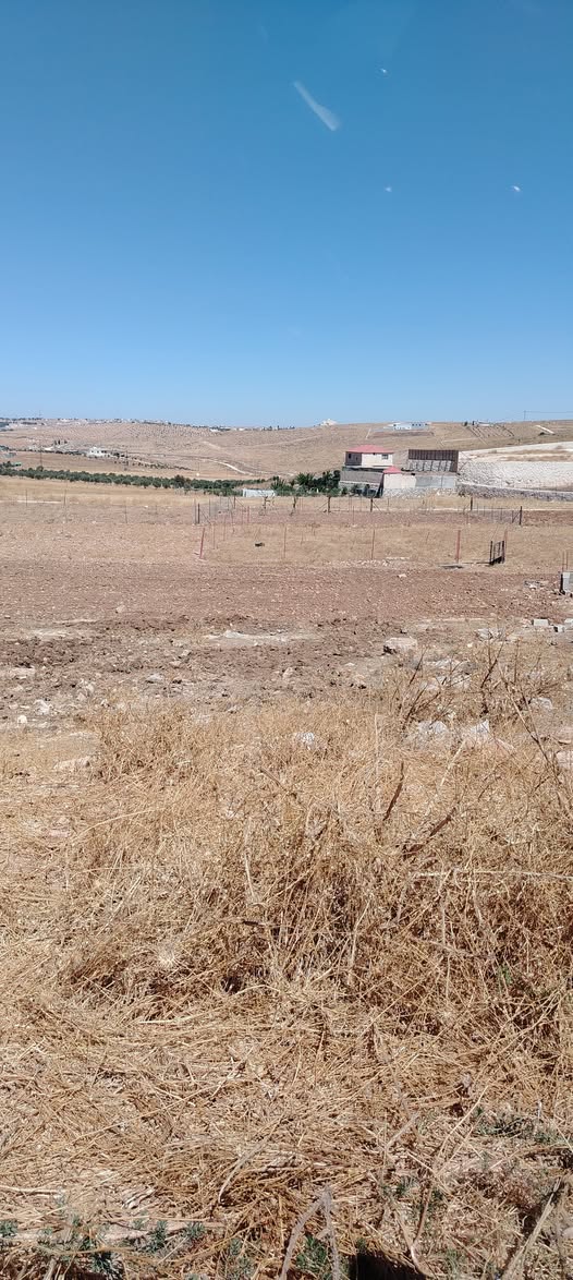 أرض مفروزة للبيع في جرش بسعر مميز