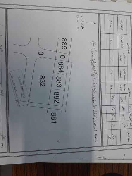 فرصة ذهبية: أرض للبيع في معان - الحسينية - 2