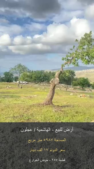 فرصة استثمارية نادرة في طبيعة عجلون الخلابة