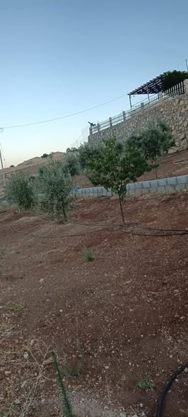مزرعة مميزة في بيرين صروت مع بيت ريفي حديث - 4