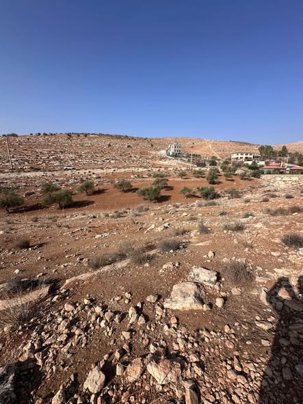 أرض زراعية فاخرة في دحل حميد للبيع - 5