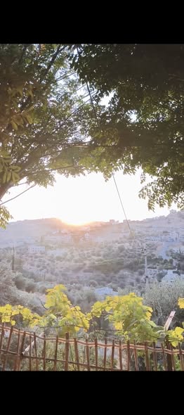 مزرعة فاخرة للبيع في أبو السوس مع إطلالات ساحرة - 4