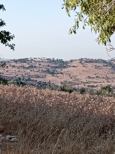 قطعة أرض استثمارية فاخرة في عجلون - 5