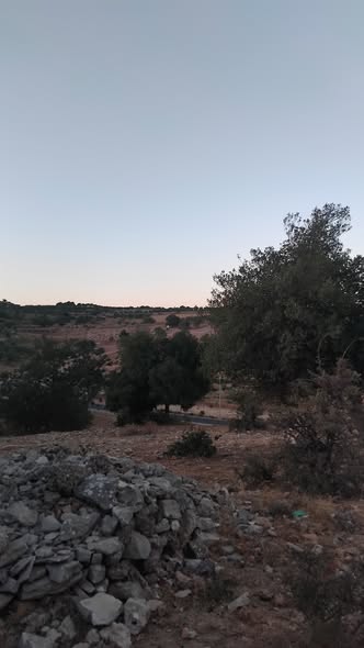 أرض فاخرة للبيع في عبين، عجلون - 5