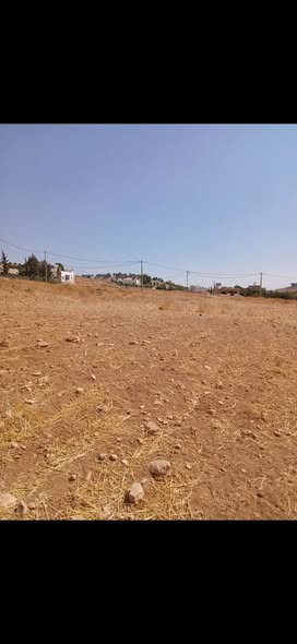 قطعة أرض استثمارية على شارعين في عين والمعمرية