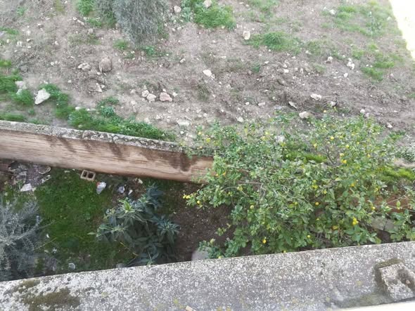 بيت مستقل للبيع في إربد - البارحة - 5