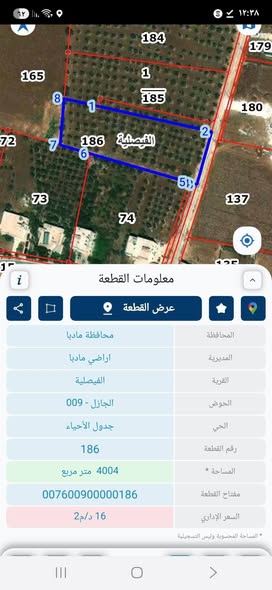 أرض زراعية سكنية فاخرة للبيع في مادبا – 4 دونم - 3