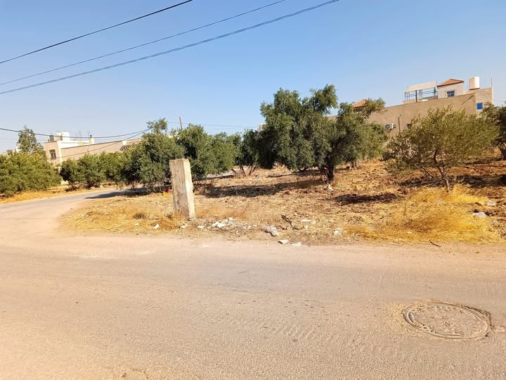 أرض سكنية متميزة في بشرى، إربد بشارعين وموقع استراتيجي