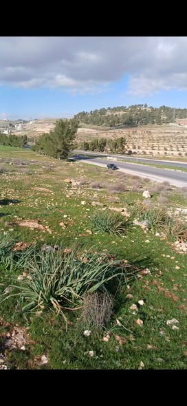 أرض استثمارية فاخرة في بلعما بمساحة واسعة - 2