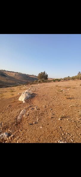 قطعة أرض فاخرة على شارعين للبيع في بلعما - 4