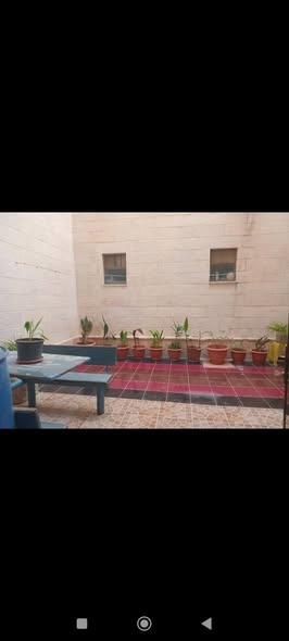 شقة أرضية فاخرة للبيع في ضاحية النخيل - 2