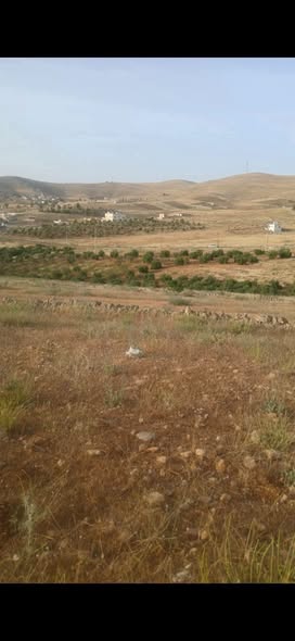 أرض استثمارية للبيع في بلعما على شارعين - 3