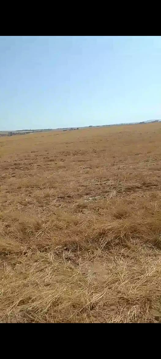 قطعة أرض للبيع في ذيبان مادبا