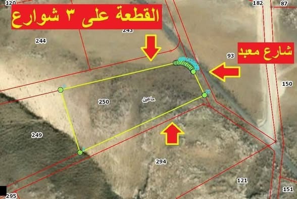 أرض زراعية استثمارية بإطلالة على البحر الميت - 4