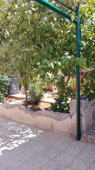 بيت مستقل للبيع في الزرقاء - حديقة ومزروعات - 4