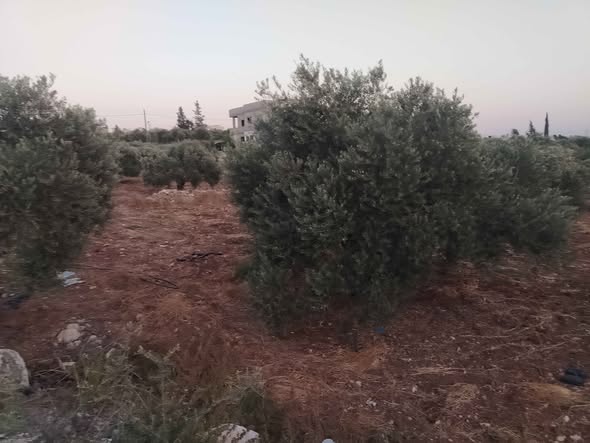 أرض سكنية في كفر جايز - حوض الميدان - مساحة 615م - 2
