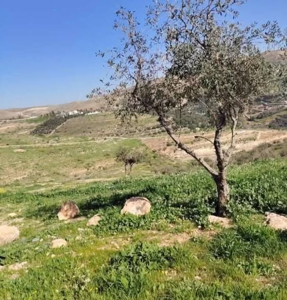 أرض تجارية على الأوتوستراد - استثمار مضمون - 2