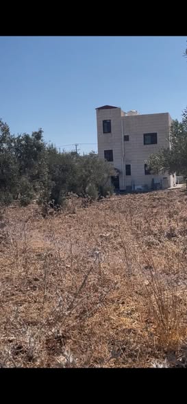 أرض سكنية مميزة في دير السعنة