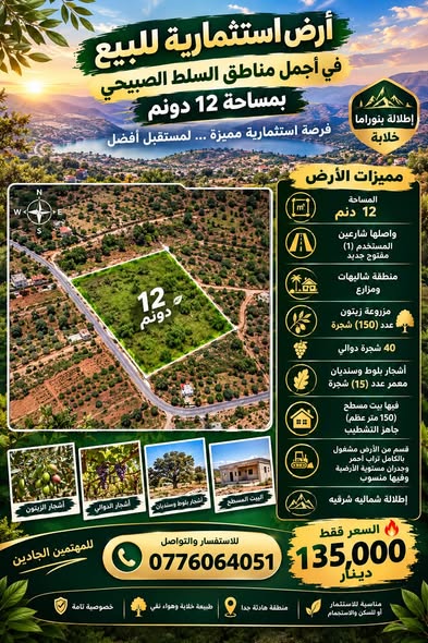 فرصة استثمارية: أرض 12 دونم مع بيت عظم بإطلالة مميزة - 2