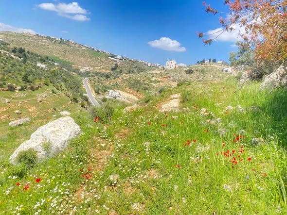 فرصة لا تعوض: أرض سكنية مميزة في السلط - الجبيل - 2