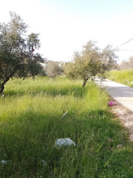 مزرعة مميزة للبيع في جرش - فرصة للسكن أو الشاليه - 2
